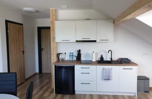 Szczytna Apartment | Podniebne Góry