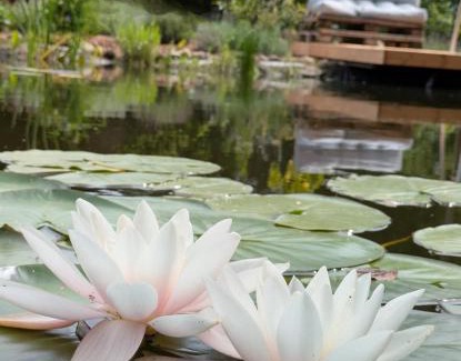 Region Hannover District Apartment | Poggenhagen Urlaub mitten in der Natur