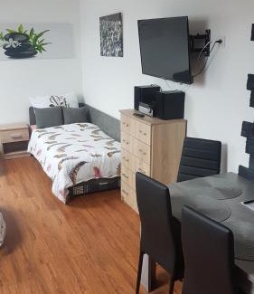 Uhersky Brod Apartment | pokoj s kuchynì pro tři