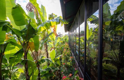 Russei Luk House | Pomelo Travel Outpost Cambodia ដំណាក់ភ្នំក្រោម