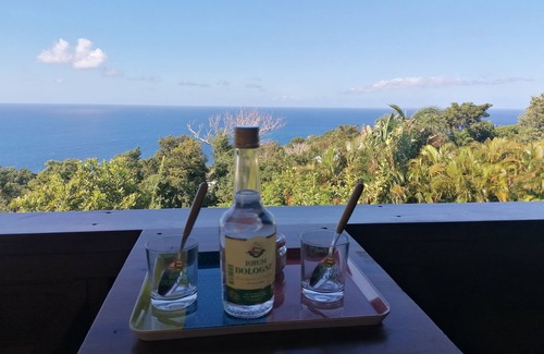 Vieux-Fort House | PomKalbas Gîte - Racines e Zel Estate