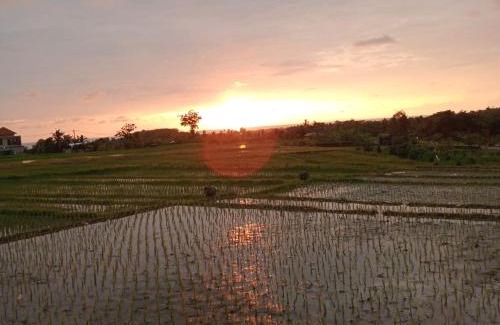 Kelating House | Pondok Dauh Ancak Kelating Guest House