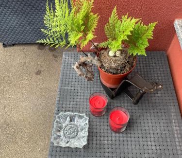 Canhas Villa | Ponta do Sol Villa