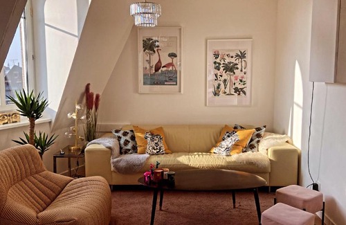 Colmar Centre Ville Apartment | Pop art appartement - Vue sur les toits de Colmar