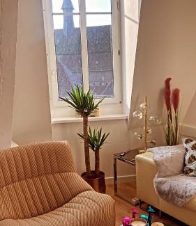 Colmar Centre Ville Apartment | Pop art appartement - Vue sur les toits de Colmar
