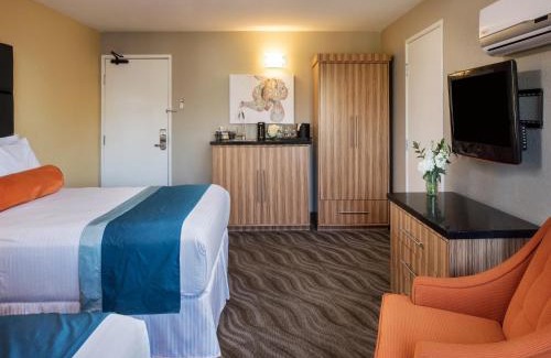 Little Italy Hotel | Porto Vista Hotel In Little Italy