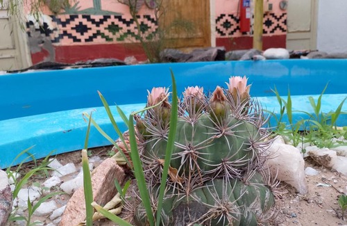 San Agustin de Valle Fertil Hotel | Posada del Valle