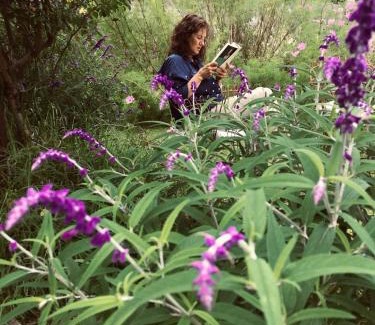 La Cumbre Hotel | Posada de la Montaña