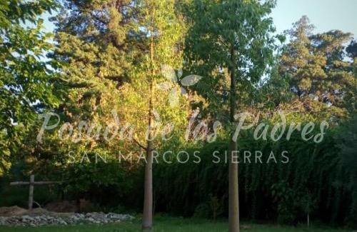 San Marcos Sierra Apartment | Posada de los Padres - LOS OLIVOS