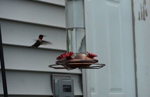 Shirley Cabin | Post and beam cabin with king and bunk