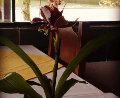 Pereque Hotel | Pousada Brilho do Sol