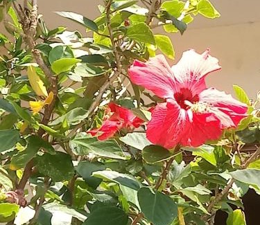 Barra de Tabatinga Hotel | Pousada Cruzeiro dos Anjos