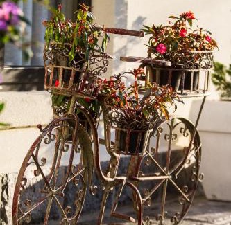 Capivari Hotel | Pousada D'Biagy Premium