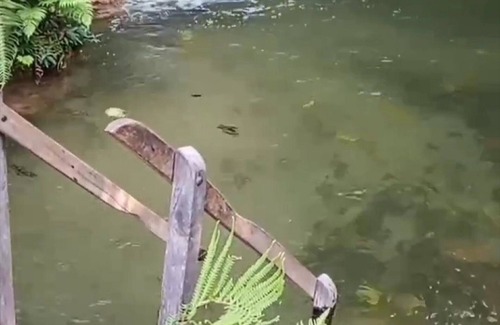 Bodoquena Apartment | Pousada de Alto Padrão . Casa de Charme da Serra da Bodoquena Para 28 Pessoas