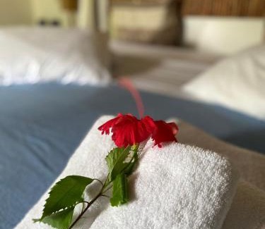 Garca Torta Hotel | Pousada Duna Paraiso Maceió