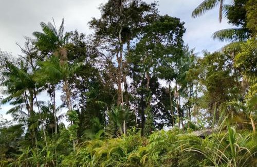 Itacare Hotel | Pousada Ka'a