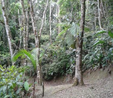 Turvo dos Gois Hotel | Pousada Recanto Águas Vivas