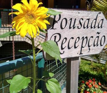 Nova Friburgo Hotel | Pousada Recanto das Flores