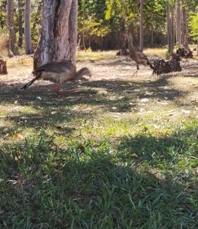Sao Jose da Barra Hotel | Pousada Ribeirinha