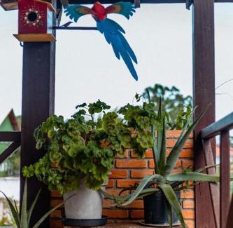 Campeche Central Apartment | pousada santa Genoveva Campeche 2