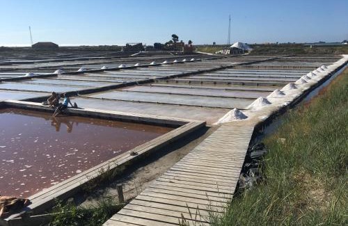 Praia de Mira Apartment | Praia de Mira