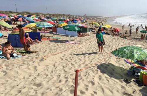 Praia de Mira Apartment | Praia de Mira