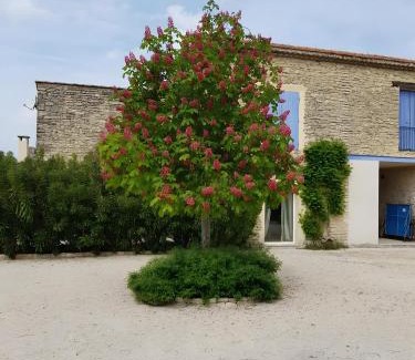 Lagnes Apartment | Premier gîte du mas