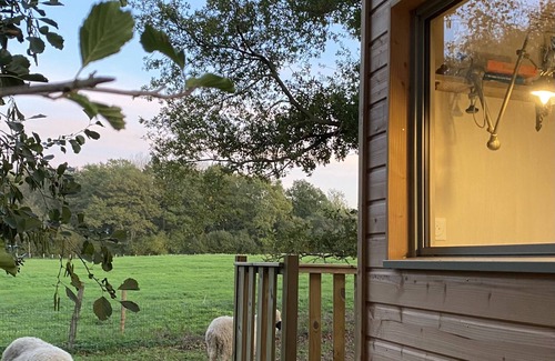 Cholet Cottage | Pretty Tiny House under the big trees, near Puy du Fou swimming pool!
