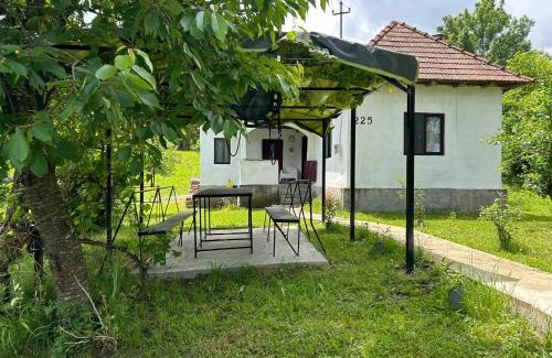 Provita de Sus House | Pridvorul lui Viorel