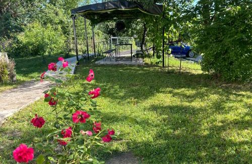 Provita de Sus House | Pridvorul lui Viorel