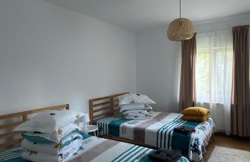 Provita de Sus House | Pridvorul lui Viorel