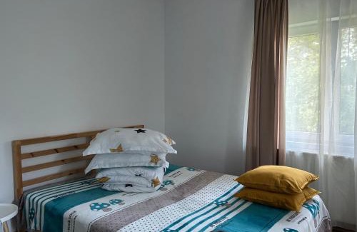 Provita de Sus House | Pridvorul lui Viorel