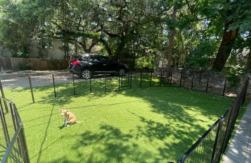 Old Enfield Apartment | PRIME LOCATION w/FENCED DOG AREA NEAR UT,ZILKER PARK,ACL,SXSW,SHOP, MARKET,CAFE