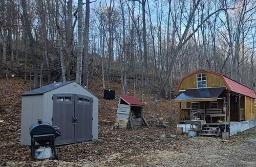 Great Cacapon House | Primitive Cozy off grid tiny home with Starlink
