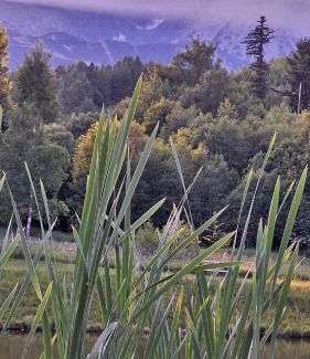 Vrbov House | Privát JOZEF