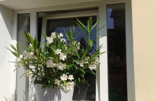 Trencin Apartment | Privat 2 na Sihoti