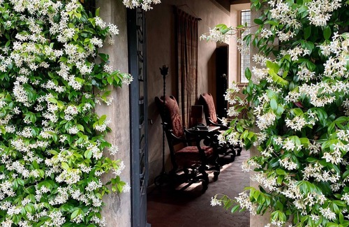 Gaiole in Chianti Villa | Private and Peaceful Medieval Villa in the heart of Chianti