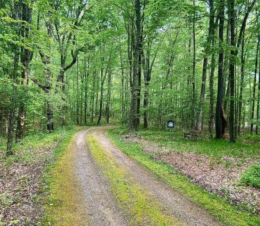 Crandon House | Private Cabin Getaway