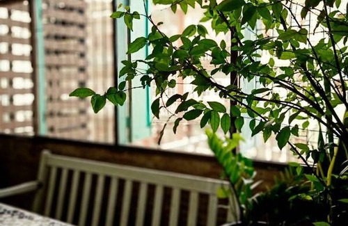 Sathorn Resort | Private room ∙ 6 guests