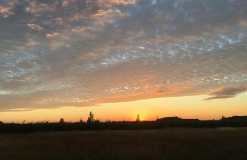 Redmile Apartment | Private Shepherds hut with Castle view