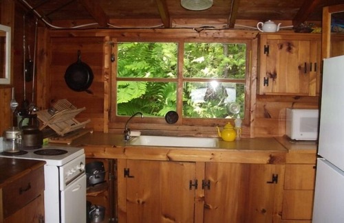 Farmington Cabin | Private three season cabin nestled in woods on shore of pristine Maine lake