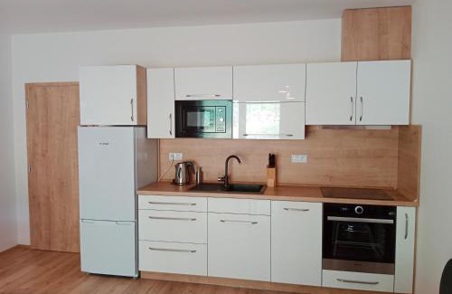 Horni Marsov Apartment | Promenáda 16