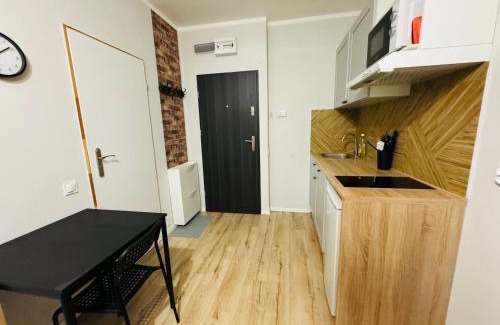 Chorzow Apartment | Przy Parku Róż