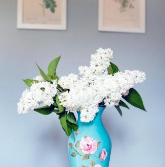 Lasowka Bed & Breakfast | Przystanek Lasówka