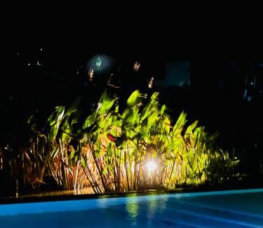 Municipo de Itati Cabin | Pueblo Viejo La Palmira