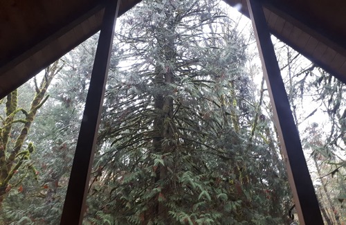 Maple Falls Cabin | Pull out and relax in the Retro Cabin