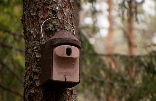 Rouge House | Pullijärve Holiday Park