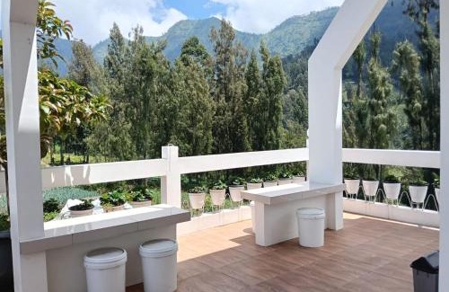 Ngadisari House | Pulmo Guesthouse Bromo