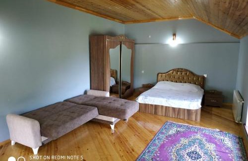 Qakh Villa | Qax İlisu