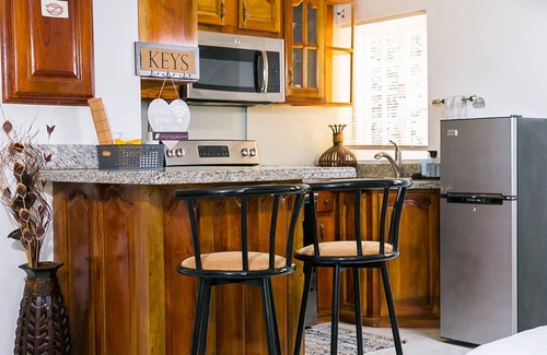 Ocho Rios Apartment | Quaint Mini Mystic Studio!